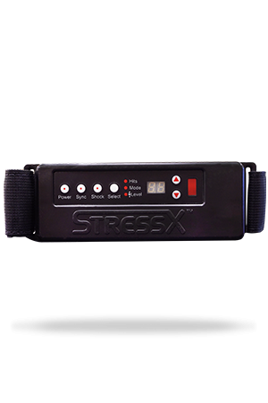 StressX-300×450